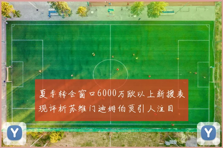 夏季转会窗口6000万欧以上新援表现评析苏维门迪姆伯莫引人注目