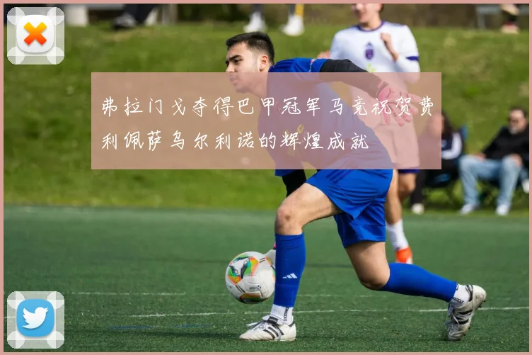 弗拉门戈夺得巴甲冠军马竞祝贺费利佩萨乌尔利诺的辉煌成就